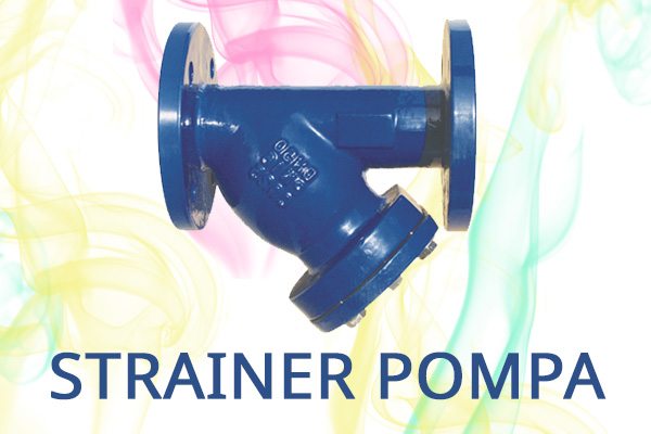 Strainer Pompa
