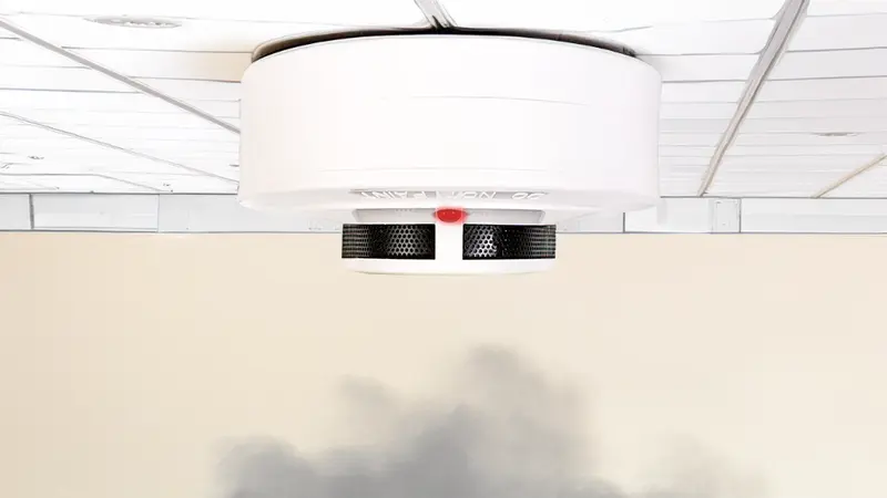 detektor asap ionisasi jual smoke detector